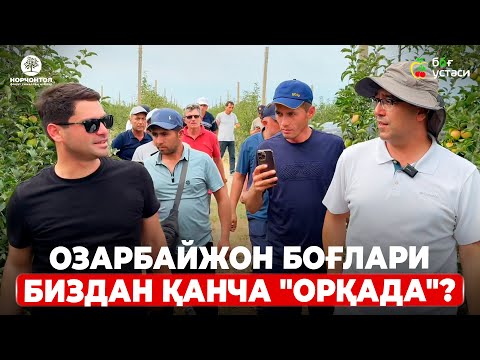 Видео: БУ ЯНГИ НАВЛАРНИ ОЗАРБАЙЖОНДАН ОЛИБ КЕЛАМИЗ! | ШУҲРАТ АБРОРОВ #shuhratabrorov #azarbaijan #olma