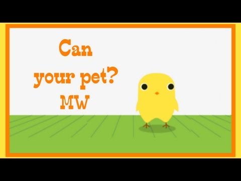 Видео: Прохождение Can your pet? [Как я люблю курятину!]