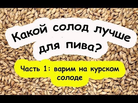 Видео: Солод Курский Против Weyermann | Варим на Курском!