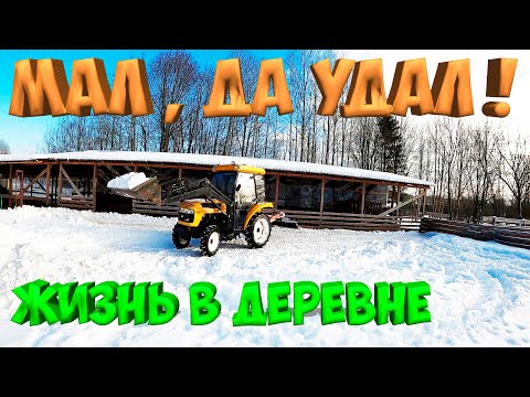Видео: ВОТ ДЛЯ ЧЕГО Я ЕГО КУПИЛ ! Минитрактор JINMA244  [Жизнь в деревне]