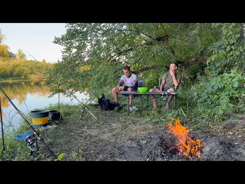 Видео: РАЗВЕДАЛИ НОВОЕ Место! Поймали ТРОФЕЙ! Заодно поставили ЖИВЦА!