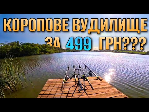 Видео: Сазан та коропи вітають з Днем Народження! Весь ставок в рибаках!