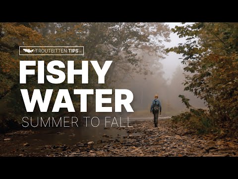 Видео: Рыбная вода: от лета до осени — где, когда и как ловить форель в переходный сезон