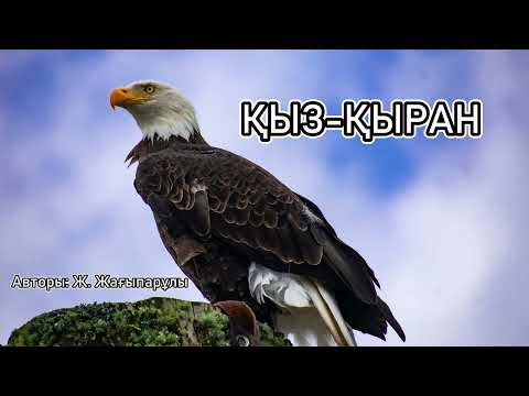 Видео: Қыз-қыран / қыран / аудиокітап / Ж.Жағыпарұлы /