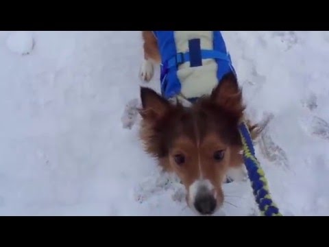 Видео: Работа с состоянием возбуждения