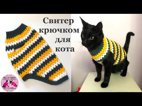 Видео: Как связать крючком свитер для кота. Подробный мастер-класс поможет начинающему.