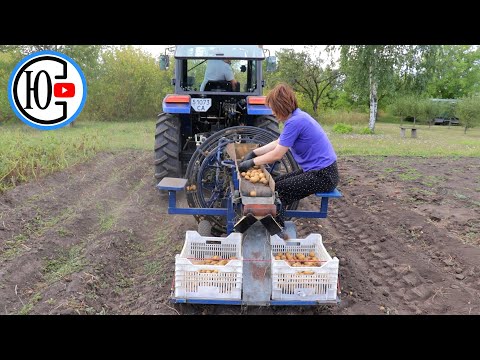 Видео: Копаємо картоплю САМОРОБНИМ КОМБАЙНОМ до трактора...!!!