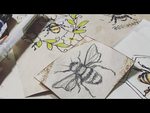 Видео: Как нарисовать шмеля — быстрый набросок