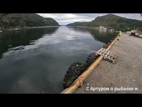 Видео: Прилив и отлив, не понятно. Скумбрия на 3500.