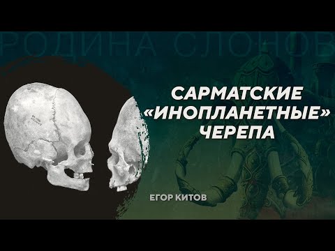 Видео: Искусственная деформация черепов у сарматов. Егор Китов. Родина слонов №426