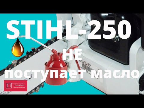 Видео: Штиль Stihl 250 не поступает масло #ВикторПолев