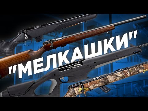 Видео: "МЕЛКАШКА" | Малокалиберные винтовки | популярный выбор