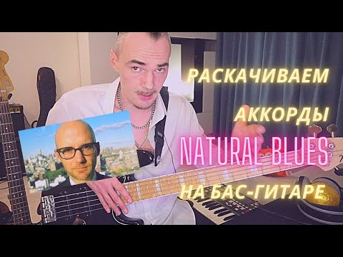 Видео: Для начинающего бас-гитариста лучшая гармония из песни Moby - Natural Blues. АККОРДЫ БАСОВОГО ГРУВА