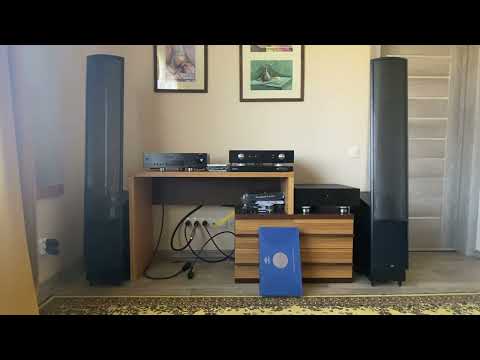 Видео: Martin Logan ESL X . Primare. Siltech. Огонь!!