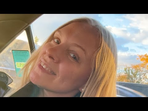 Видео: 🚖  Прилетели в Чикаго