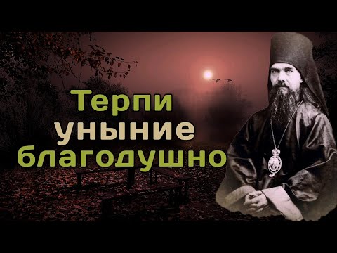 Видео: Уныние. Как с ним бороться? Феофан Затворник