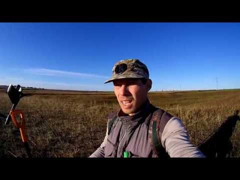 Видео: Настроим МЕТАЛЛОИСКАТЕЛЬ xp Deus ВМЕСТЕ ! Ну и копнем немного монет