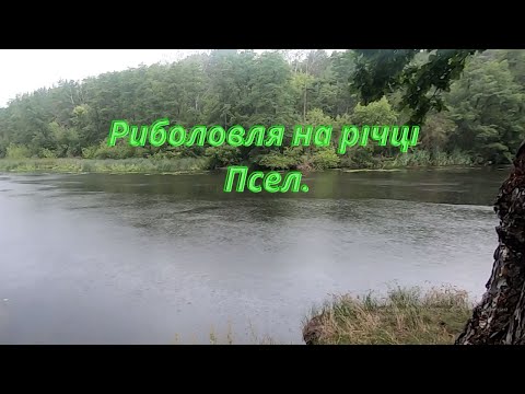 Видео: Псел  Рибалка без прикрас