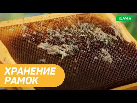 Видео: Хранение рамок в межсезонье. Как просушить рамки? МОЯ ПАСЕКА.