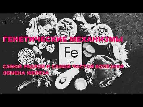 Видео: А.Ю.Арсенева. Генетические механизмы самой редкой и самой частой болезней обмена железа