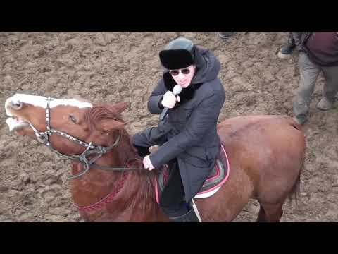 Видео: Алмат мырза 2 Монтайтас