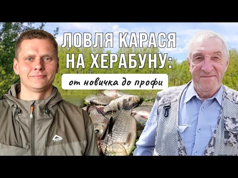Видео: Ловля карася на ХЕРАБУНУ: полное руководство от профи с 15-летним стажем