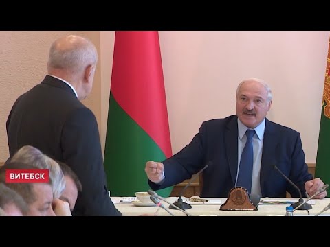 Видео: Лукашенко: Жирует жульё! Посадим 200-300 человек – поймут! Жёсткий разговор по АПК Витебщины