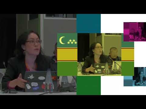 Видео: ОБСЕ конференциясының 3-күни