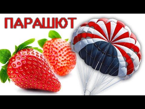 Видео: БОРЬБА С МЕДВЕДКОЙ на БОЛЬШОЙ ПЛОЩАДИ.