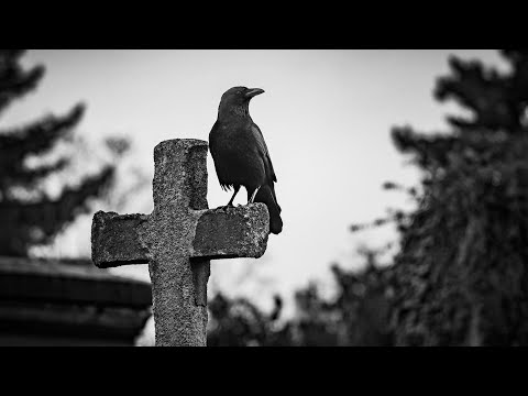 Видео: Garik Garik - А я ещё посижу