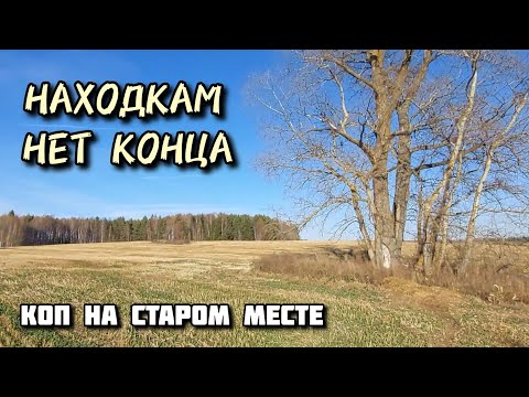 Видео: Находкам нет конца. Копаю на старом месте с TX 850