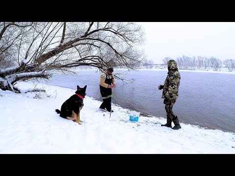 Видео: Особенности  рыбалки в декабре по открытой воде, на крепком морозе, сильном ветре... Так себе затея👆