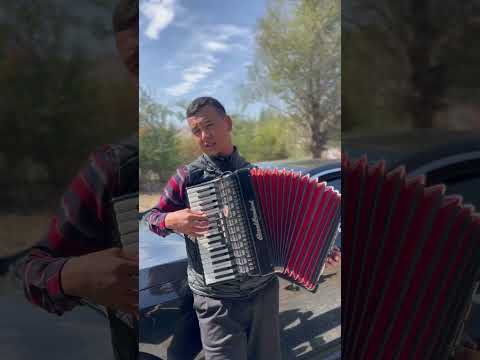 Видео: 0708051597-Омурбек #узген #акордеон #акордеон #кыргызстан #wedding