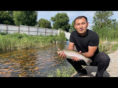 Видео: Бизнес! БАЛЫҚ БИЗНЕСІ - ЕҢ ТАБЫСТЫ КӘСІП…