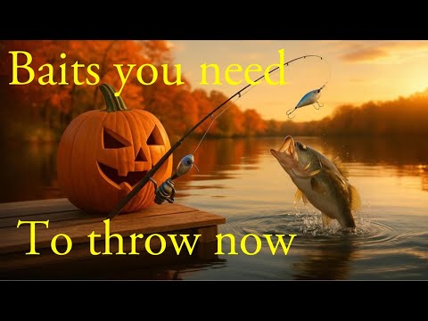Видео: Приманки, которые нужно забросить сейчас