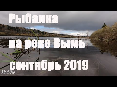 Видео: Рыбалка на реке Вымь, хариус, щука