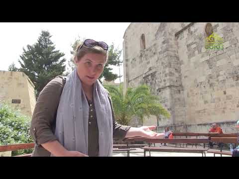 Видео: Паломники-Онлайн 2019. Купальня Вифезда. Исцеление расслабленного