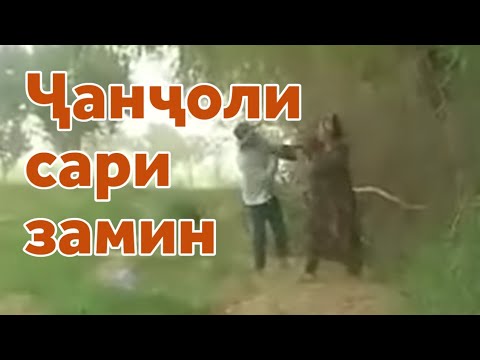 Видео: Ҷанҷоли як марду зан дар Фархор ба додгоҳ рафт
