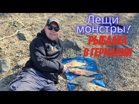 Видео: Как поймать леща в Германии? Советы, снасти и прикормка.