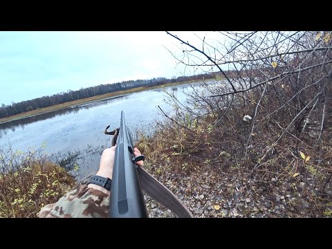 Видео: ОХОТА НА СЕВЕРНУЮ УТКУ. УТИНЫЕ СТАИ ПОТЯНУЛИ НА ЮГА. ОХОТА С ПОДХОДА.