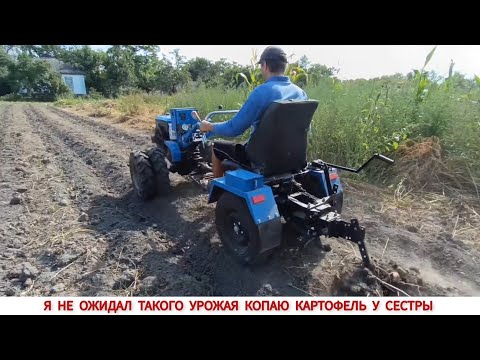 Видео: Я НЕ ОЖИДАЛ ТАКОГО УРОЖАЯ, КОПАЮ КАРТОФЕЛЬ У СЕСТРЫ / ВЕЕРНАЯ КАРТОФЕЛЕКОПАЛКА , МОТОБЛОК КЕНТАВР
