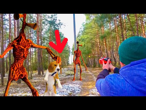 Видео: ШЕРЛОК В ЛАПАХ СИРЕНОГОЛОВОГО. КАК УБЕХАТЬ ОТ НЕГО. БРОС ШОУ ПЕТ