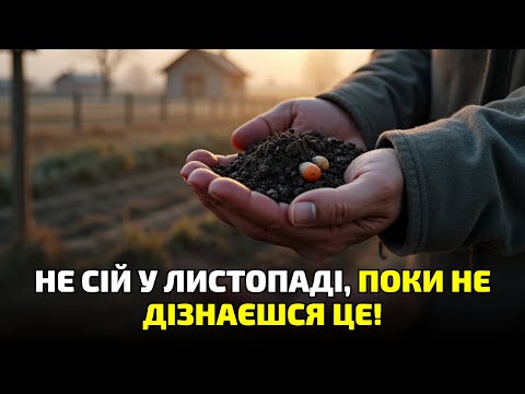 Видео: Підзимовий посів у листопаді: 7 речей, які обов’язково треба зробити, щоб не втратити врожай!