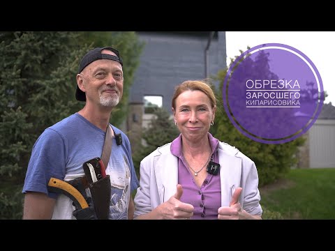 Видео: ОБРЕЗКА ЗАРОСШЕГО КИПАРИСОВИКА