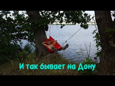 Видео: Бывает и такое на Дону