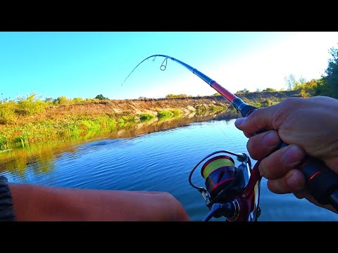 Видео: ПОКЛЁВКА НА ПОКЛЁВКЕ! ЭТО ЖОР! ОНИ АТАКУЮТ ВСЁ ПОДРЯД! Рыбалка на спиннинг 2023.