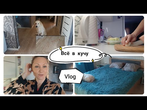 Видео: Vlog: ЗЕМЛЕТРЯСЕНИЕ НА КУБАНИ 4 БАЛА / МИЛЕНА ЗАБОЛЕЛА, ГОЛОЛЁД.