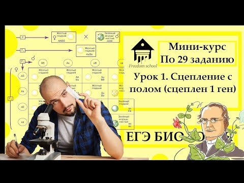 Видео: Мини-курс по задачам по генетике (29 задание) - УРОК 1 |ЕГЭ БИОЛОГИЯ|Freedom|