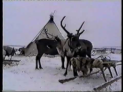 Видео: 1997 04 03 Самбург