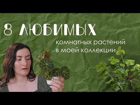 Видео: ❀ Любимые растения в моей коллекции.